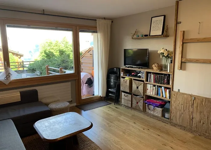 Daire Medran And Bike Base Verbier